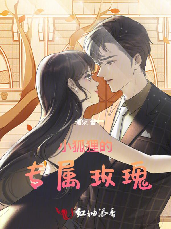 小狐狸的玫瑰花