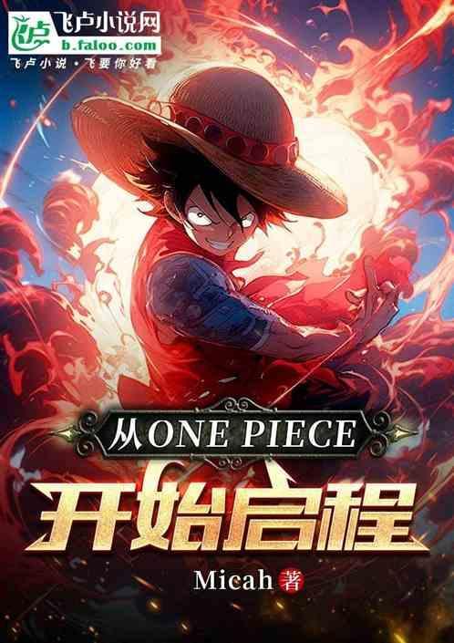 海贼王之干了白星
