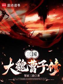 三国之曹魏之子