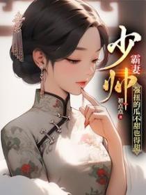 少帅霸妻