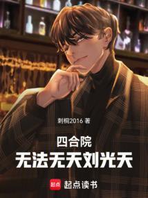 四合院无法无天刘光天篱笆好文学