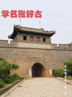 张好好诗书法欣赏