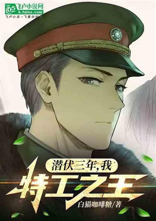 潜伏特务的电视剧有哪些