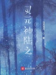 灵元秘录