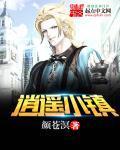 逍遥小镇长精校版