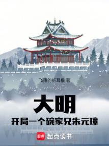 大明开局一个碗家兄朱元璋