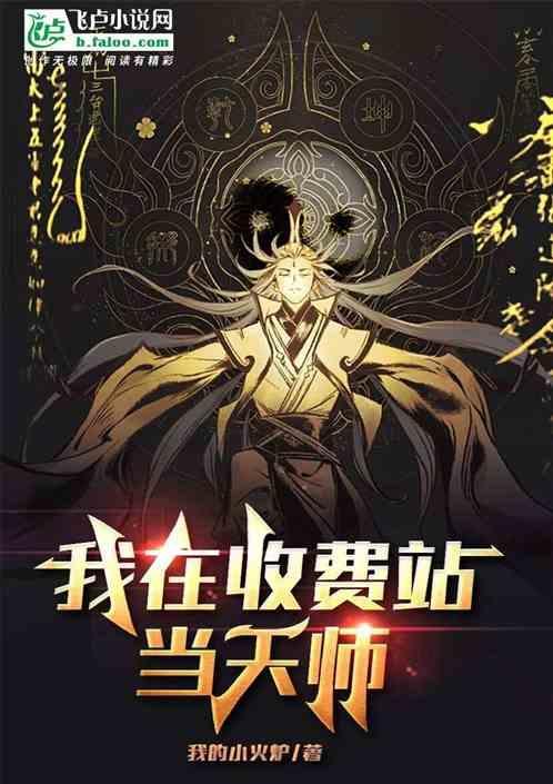 我要去收费站