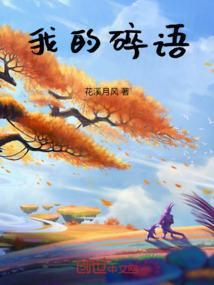我的碎片人生