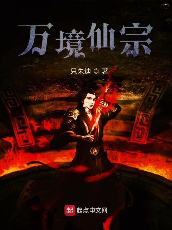 万境仙综