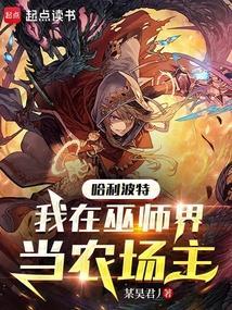 哈利波特之我在霍格沃茨当教授