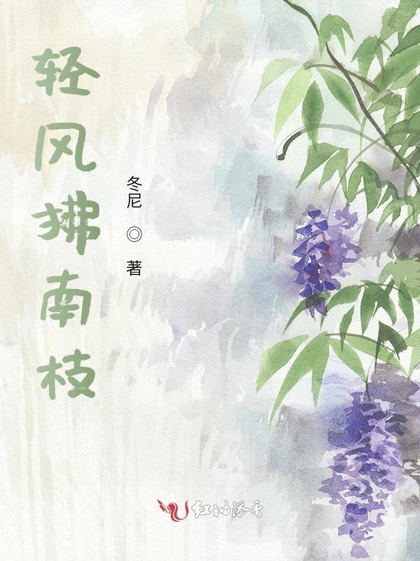 路由器公开版和定制版的区别