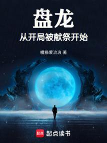 从盘龙开端
