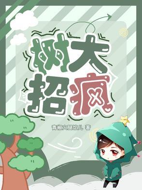 树大招风ak拿法