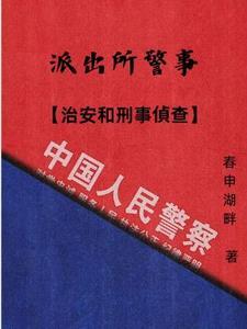 派出所是治安部门吗
