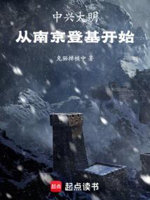 从南京登基开始 好看吗