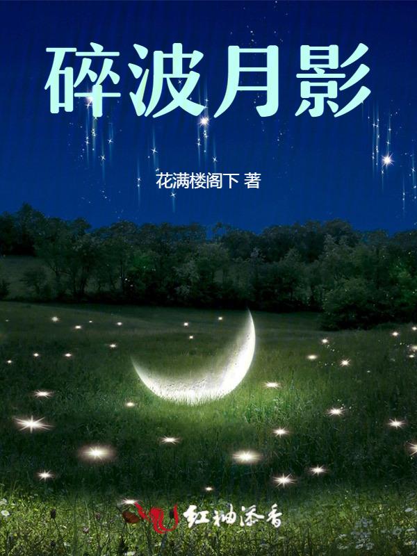 碎影的意思解释