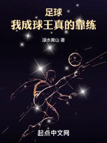 足球我就是能进球