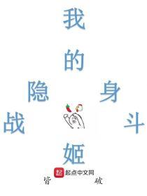 我的隐身战机姬