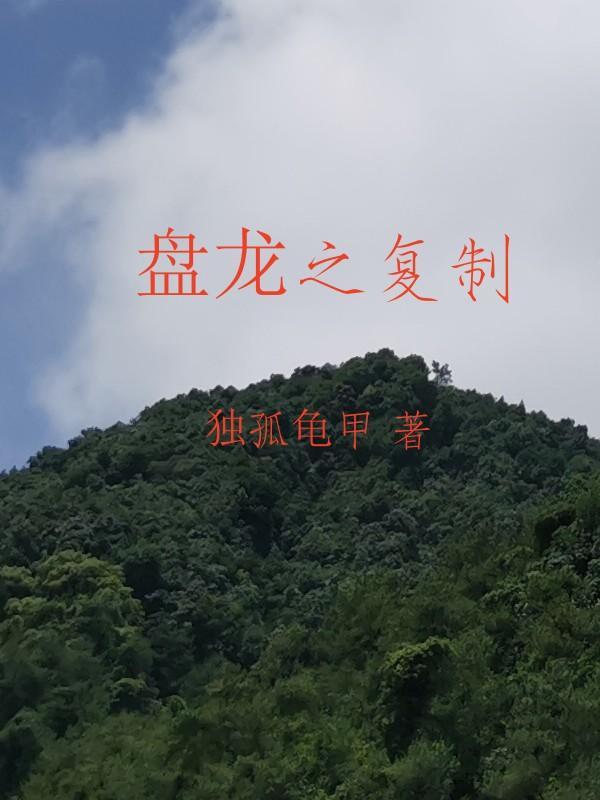 盘龙之免费阅读