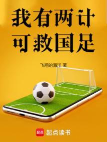 我有两计可救国足在线阅读