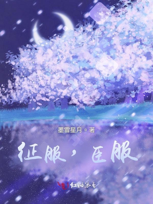 征服是什么意思呀