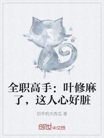 全职高手叶修麻了这人心好脏