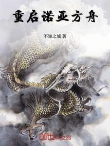 诺亚方舟复盘