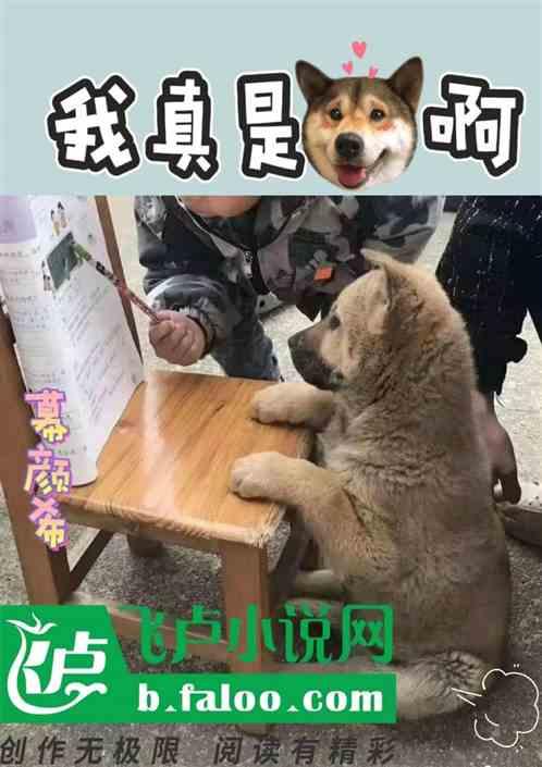 你真的不是人