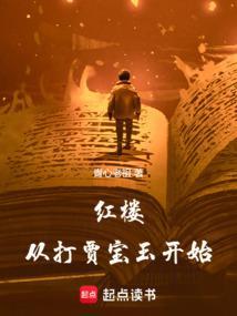 红楼开局痛殴贾宝玉2k