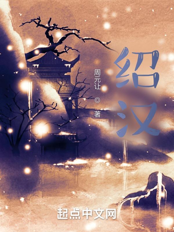 绍汉三国