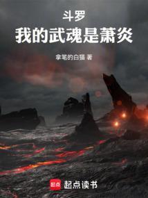 斗罗之我的武魂就是魂环