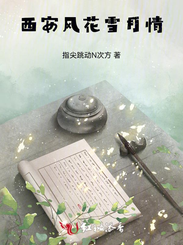 西安风花雪月情侣酒店
