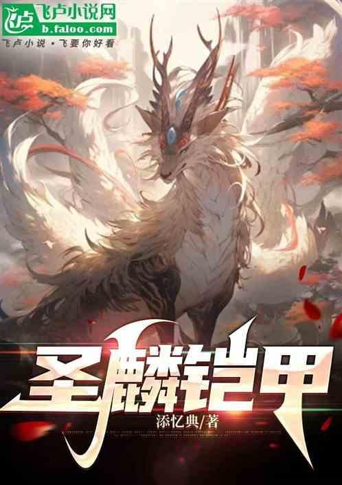 圣帅铠甲