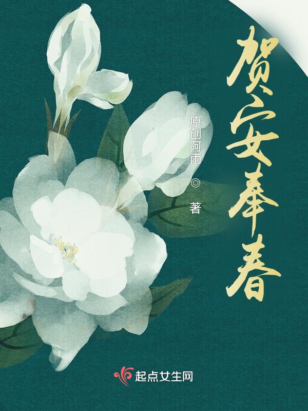 贺春年将军