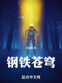 钢铁苍穹1