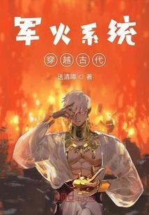 军火系统类穿越
