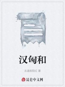 汉匈和亲读后感