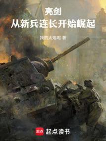 从亮剑开始的