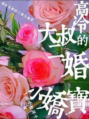 高冷大叔宠妻无度95章完整版