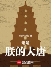 这是朕的大唐免费阅读
