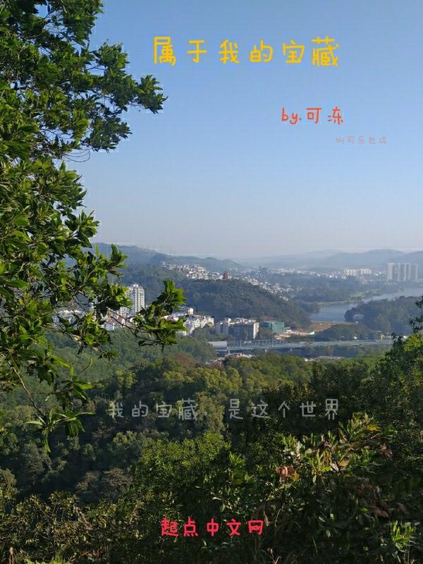 以我的宝藏为题的作文600字