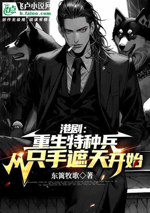 重生特种兵系列