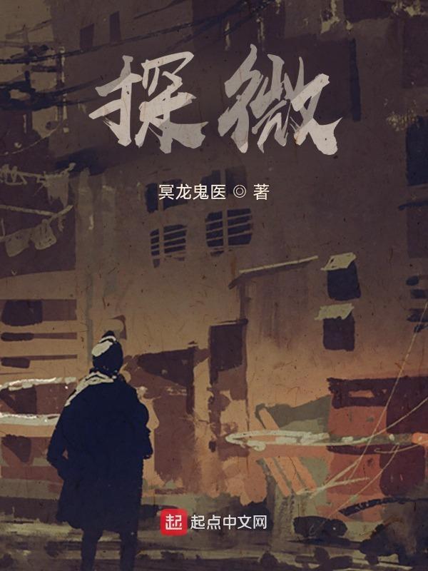探微的意思