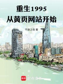 重生1995从黄页网站开始飞卢网