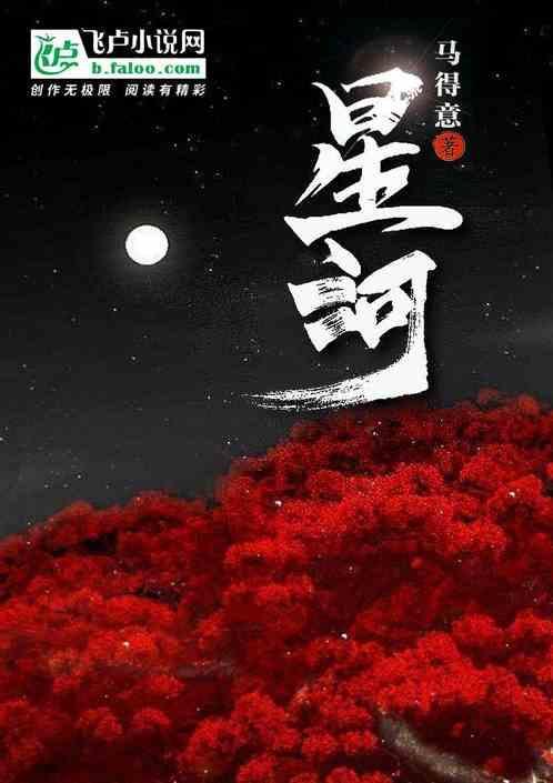 星河舰队