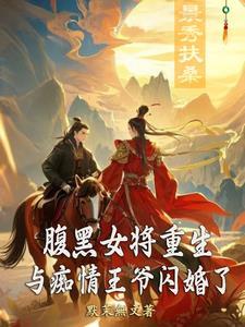 腹黑王爷将军喜当爹