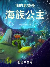 海贼我的老婆是公主
