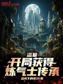 盗墓开局获得炼气士传承 流光下的寒冷