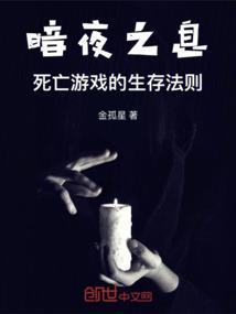 暗夜之光游戏