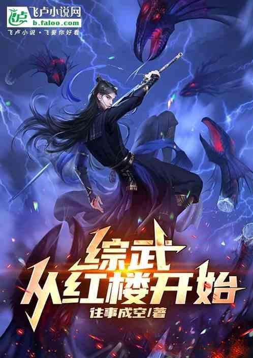 综武从红楼开始无敌